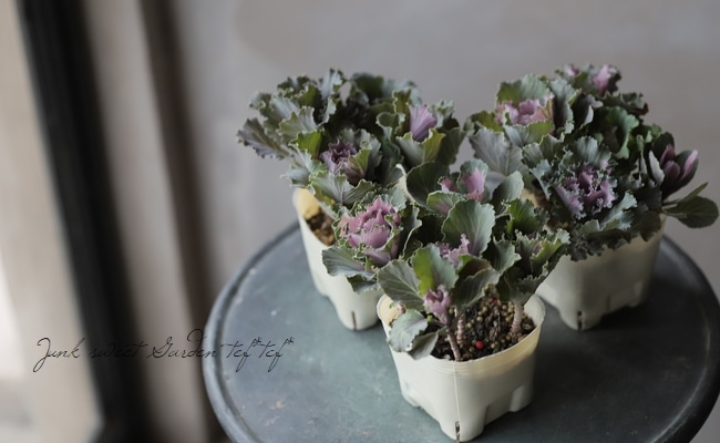 ������ƥ������ղ�ð����˨�֥��å����١��ե��