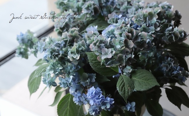 シマエナガ✧︎レジンコンタクトケース紫陽花 向日葵 シマエナガ✧︎レジンコンタクトケース紫陽花 向日葵 Amazon.co