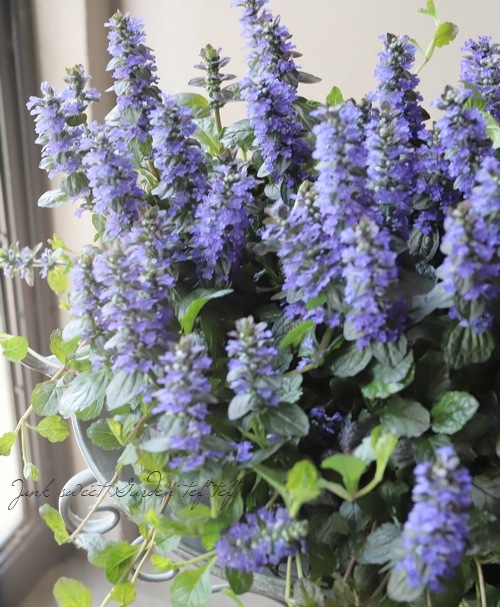 �����奬���إ�ץ��󥹡�