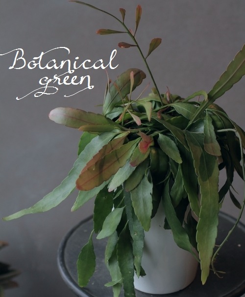 �ץ����ɥ�ץ��ꥹ�������������إ�åɥ�������