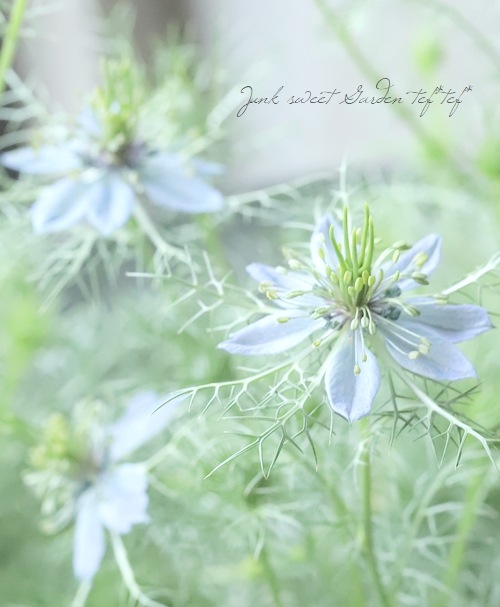 12_000000019564.jpg?1685684813