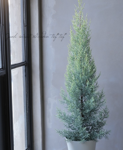 ���˥ե��������ץ�å��������꥾�˥����إ���ե쥢��