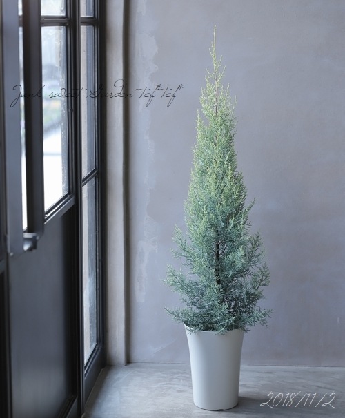 ���˥ե��������ץ�å��������꥾�˥����إ���ե쥢��