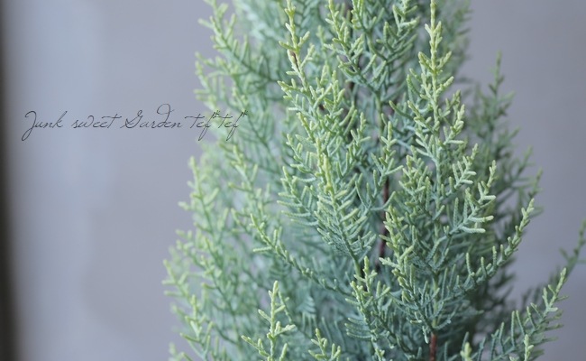 ���˥ե��������ץ�å��������꥾�˥����إ���ե쥢��