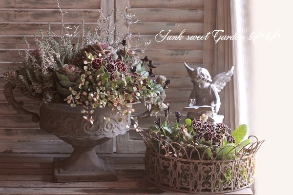 ���ղ�ð����˨�֥��祳�� -�⥫���祳��-�� 1��Ω��