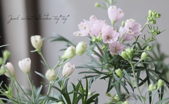 �����鿧�Υǥ�ե��˥��ࡡ�ؤ�����Ҥ��