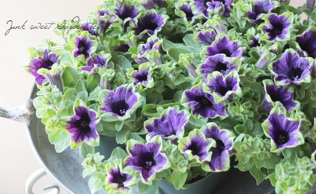 7_011000001465.jpg?1680613294