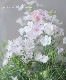 �����鿧�Υǥ�ե��˥��ࡡ�ؤ�����Ҥ��
