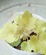 ҥ塼顡ɥ꡼إ쥯ȥå饤