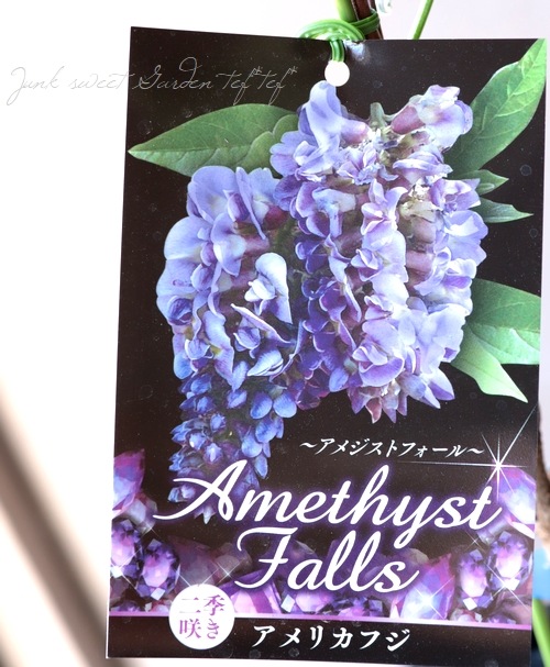 󵨺餭ꥫե إ᥸ȥե ѥʼ ڿѡ