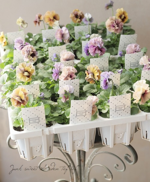 �������ݤ��󥪥ꥸ�ʥ�Ȭ�ťӥ���ؤդ���ե���