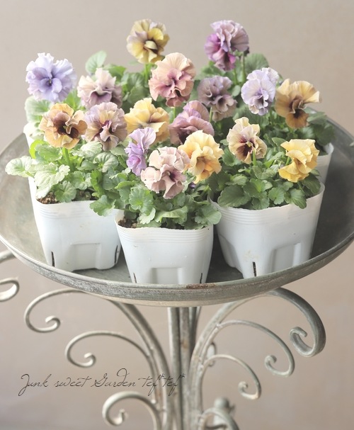 �������ݤ��󥪥ꥸ�ʥ�Ȭ�ťӥ���ؤդ���ե���