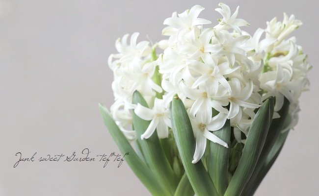 4_000000004165.jpg?1708744936