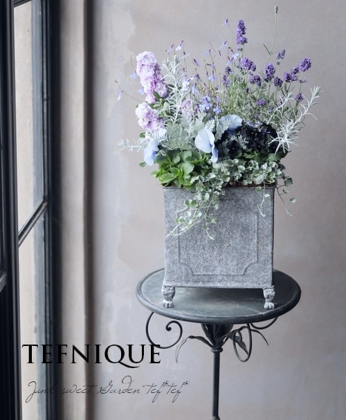 -TEFNIQUE-�󤻿��� 2020 * no.42 *���إե���ʥ֥롼�δ󤻿�������