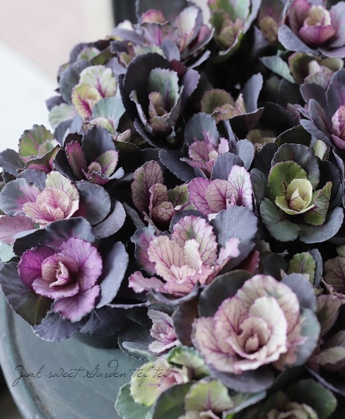 ヴィンテージのうつくしい花と葉の漆芸 □葉牡丹 『ヴィンテージブーケ』 丸葉 | すべての商品 | | Junk