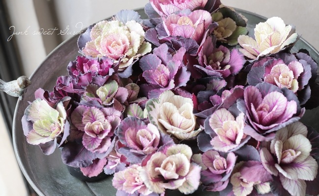 ヴィンテージのうつくしい花と葉の漆芸 □葉牡丹 『ヴィンテージブーケ』 丸葉 | すべての商品 | | Junk