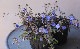 �٥��˥� �إ��른���֥롼��