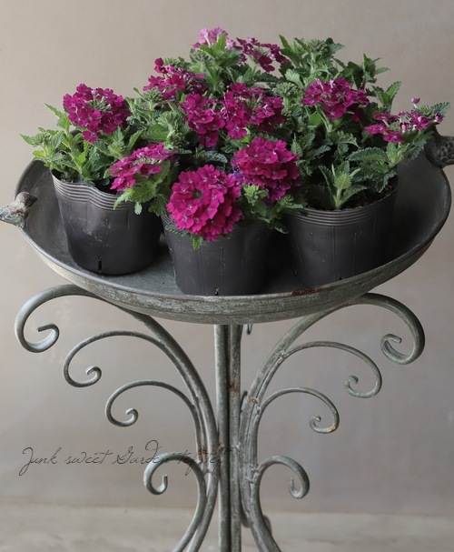 �С��٥ʡ������ͥå�����ѥ��ȡ��إܥ�ɡ��� �ɺ��ϥ󥮥󥰥�����