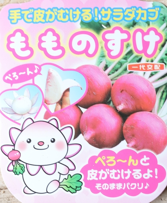 �ڲ����ڱ�� ��������� �ؤ��Τ����� �ݥåȤǰ�ġ�