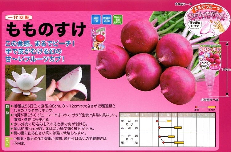 �ڲ����ڱ�� ��������� �ؤ��Τ����� �ݥåȤǰ�ġ�