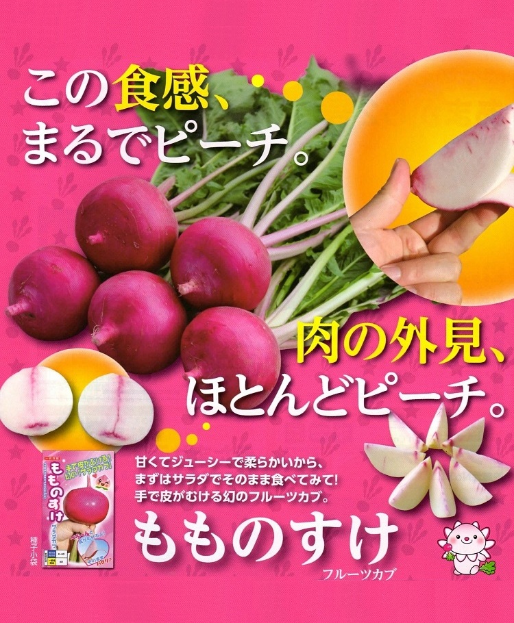 �ڲ����ڱ�� ��������� �ؤ��Τ����� �ݥåȤǰ�ġ�