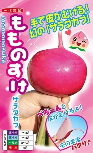 �ڲ����ڱ�� ��������� �ؤ��Τ����� �ݥåȤǰ�ġ�