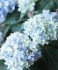�ڵȲ���Ҥ���ۤƤޤ�餭���۲� �ؤƤƤƤޤ�� �֥롼