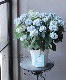 �ڵȲ���Ҥ���ۤƤޤ�餭���۲� �ؤƤƤƤޤ�� �֥롼