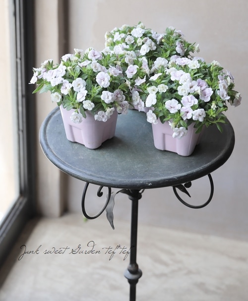 ���֥餵��Υ���֥饳����NOZOMI���إ��꡼�ԥ󥰥ӥ塼�ƥ�����