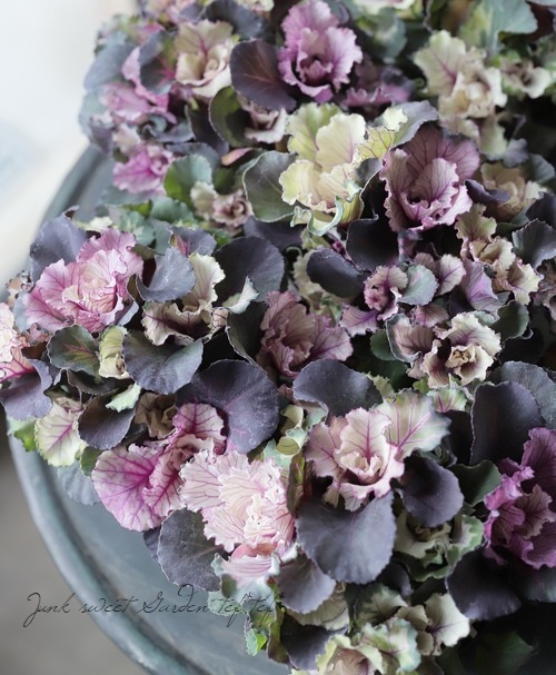 ���ղ�ð���إ�����ơ����֡����� �ե��