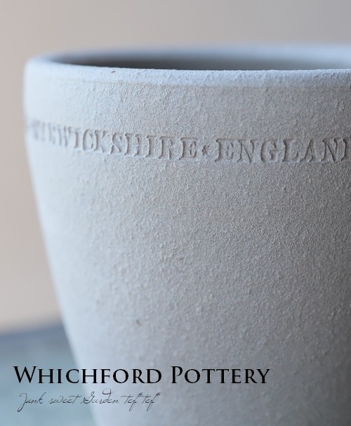 �ڻ��ߡ� �ѹ񥦥��å��ե����� ��Auricula -�����ꥭ���� ���å��奰�쥤 ��12