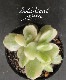 ��¿����ʪ�ۡ��� -��Ƹ�Ҷ�- �١�������ɥ�°�����Ȥ����꡼��
