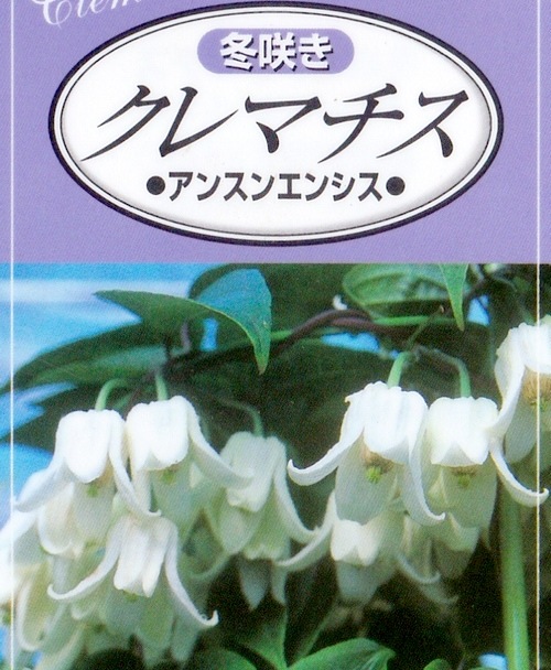 ٥餭ޥإ󥹥󥨥󥷥١߿Υǥ