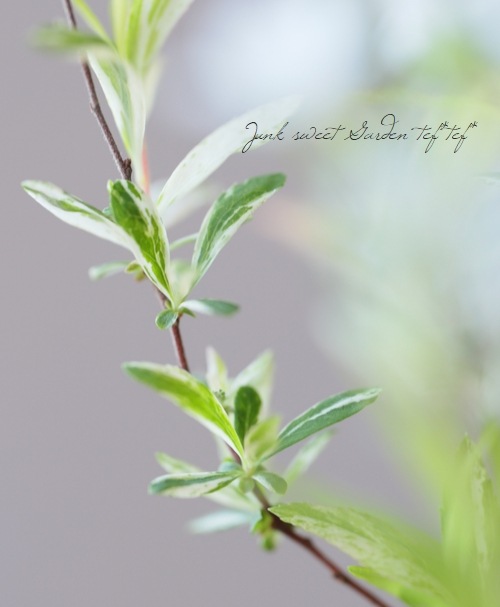 ��������業��ʥ��١�