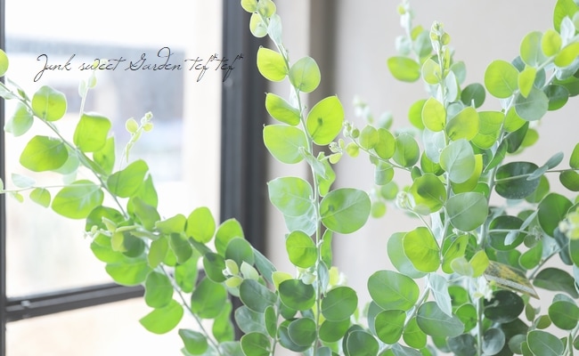 ���եѡ��륢���������إݥ���꡼�ե��ꥢ�� ��A��