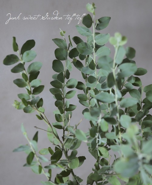 ���եѡ��륢���������إݥ���꡼�ե��ꥢ�� ��A��