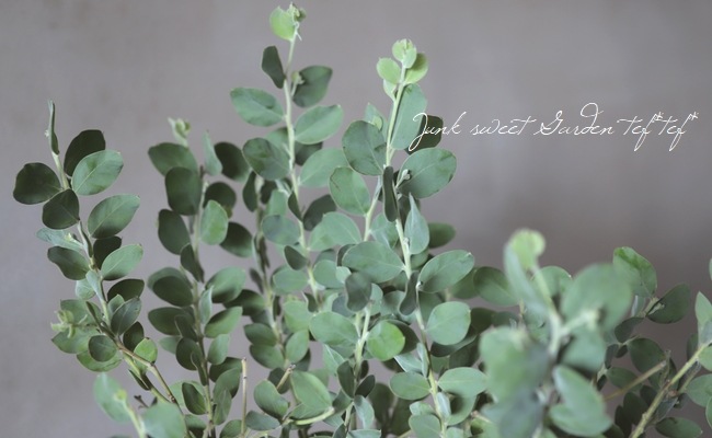 ���եѡ��륢���������إݥ���꡼�ե��ꥢ�� ��A��