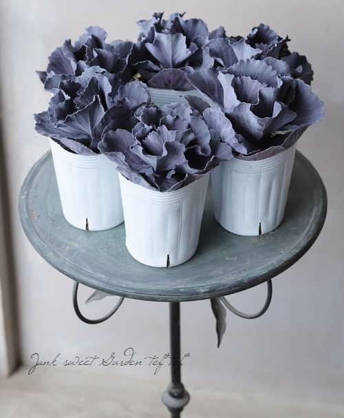 ���ղ�ð���إ��륯��åɥ��å���� ������ݤ��󥪥ꥸ�ʥ�