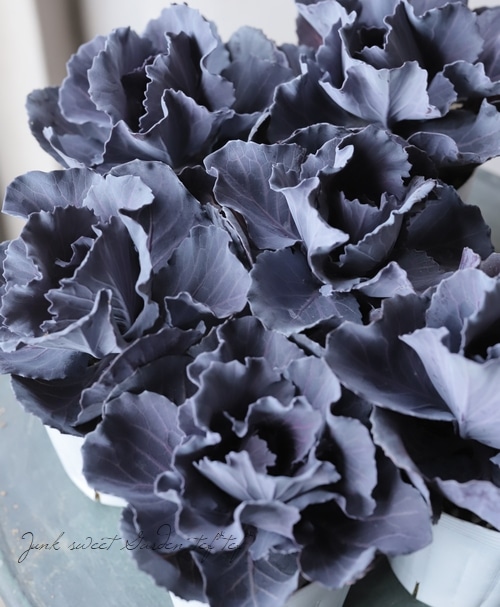 ���ղ�ð���إ��륯��åɥ��å���� ������ݤ��󥪥ꥸ�ʥ�