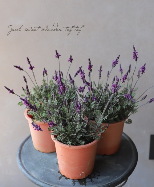 �졼����٥�������إХ�����åȥե�����