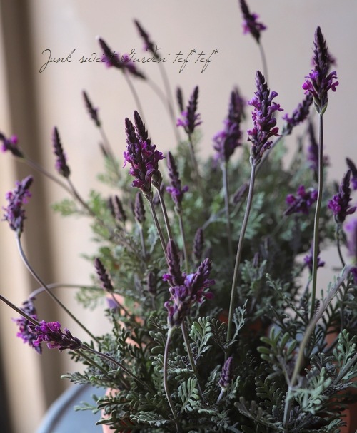 �졼����٥�������إХ�����åȥե�����