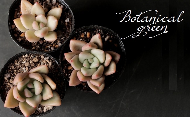 ¿ʪۡFermata -եޡ-١ѥեĥ°  ڹ񻺥ѥ