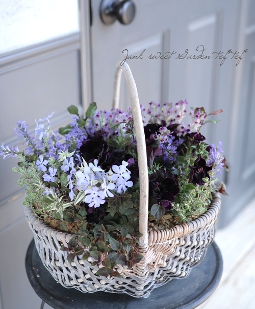 寄せ植えオーダー | signalstationpizza.com