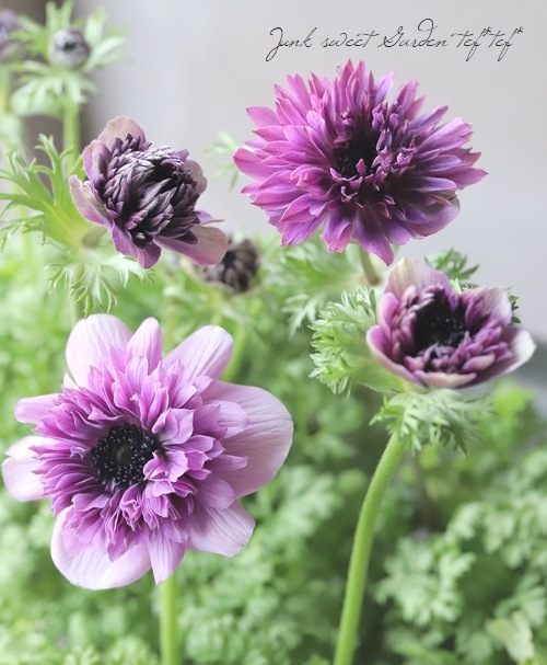 ＊keiko様2点おまとめ＊アラシャン瑪瑙　九尾の狐　お花　ケープアメジスト keiko様2点おまとめ＊アラシャン瑪瑙 九尾の狐 お花 ケープ