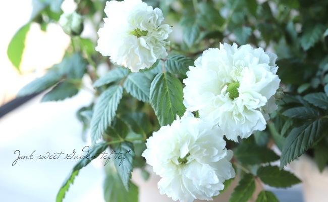 �إܥ���Υ��Х�١���̾�إȥ��󥤥Х�١إȥ���Х��