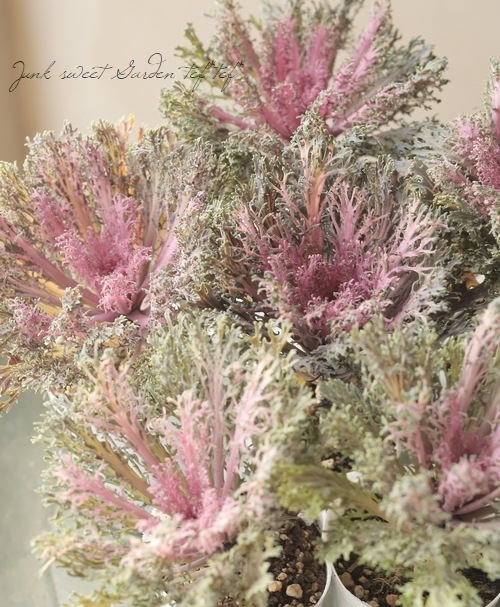 ���ղ�ð���إ��륭������ɥ��졼���� �������Ť���ʥ�ƥ��֥ե���