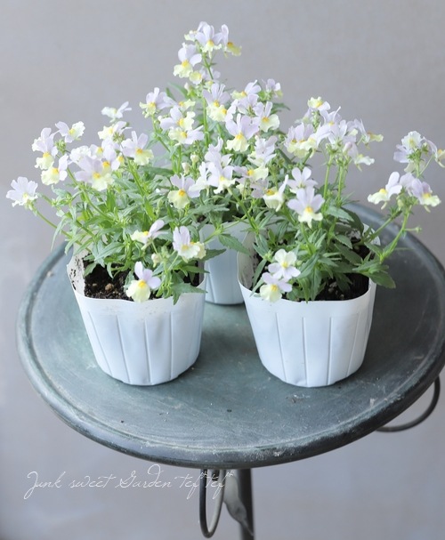 ˧ɺͥ᥷ޥ󥹡إϥˡԡ