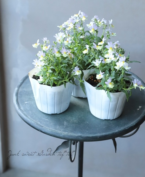 ˧ɺͥ᥷ޥ󥹡إϥˡԡ