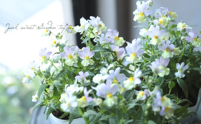 ˧ɺͥ᥷ޥ󥹡إϥˡԡ