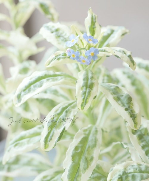 8_000000017568.jpg?1653038468